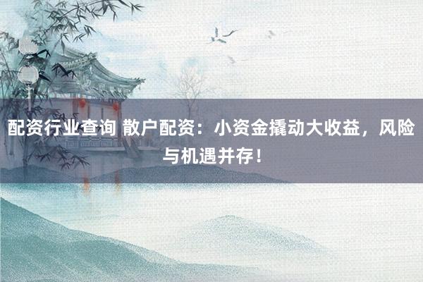 配资行业查询 散户配资：小资金撬动大收益，风险与机遇并存！
