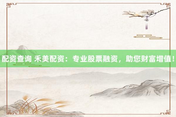 配资查询 禾美配资：专业股票融资，助您财富增值！