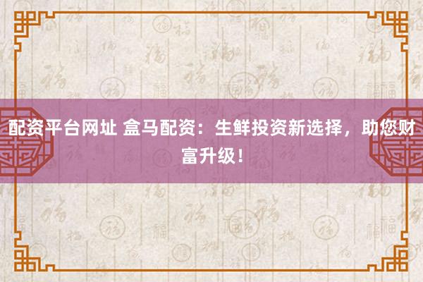 配资平台网址 盒马配资：生鲜投资新选择，助您财富升级！