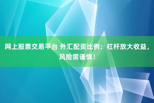 网上股票交易平台 外汇配资比例：杠杆放大收益，风险需谨慎！