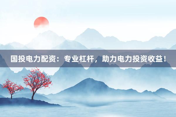 国投电力配资：专业杠杆，助力电力投资收益！
