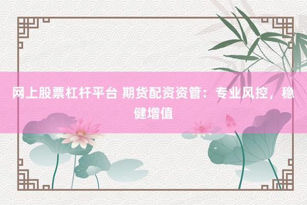 网上股票杠杆平台 期货配资资管：专业风控，稳健增值