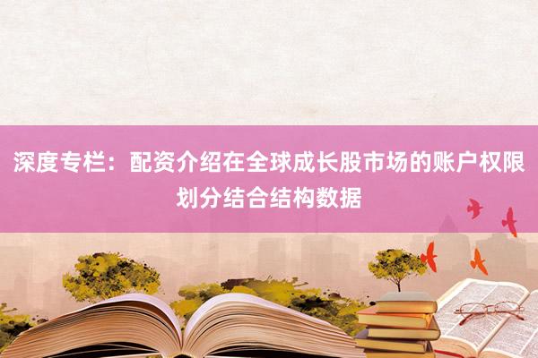深度专栏：配资介绍在全球成长股市场的账户权限划分结合结构数据