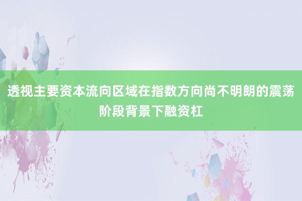 透视主要资本流向区域在指数方向尚不明朗的震荡阶段背景下融资杠