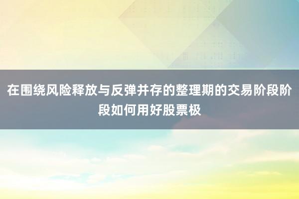 在围绕风险释放与反弹并存的整理期的交易阶段阶段如何用好股票极